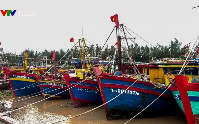 Quản lý chặt tàu thuyền, chủ động ứng phó áp thấp nhiệt đới trên Biển Đông Quản lý chặt tàu thuyền, chủ động ứng phó áp thấp nhiệt đới trên Biển Đông