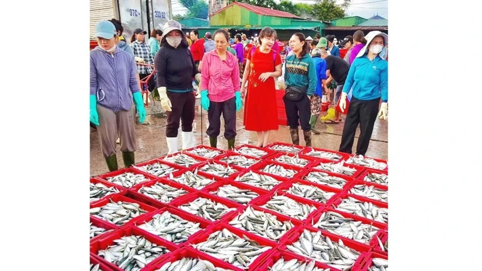 Quản lý sát hơn từ cơ sở