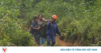 Quảng Ngãi: 2 người bị thương do sự cố phóng điện đường dây 110kV