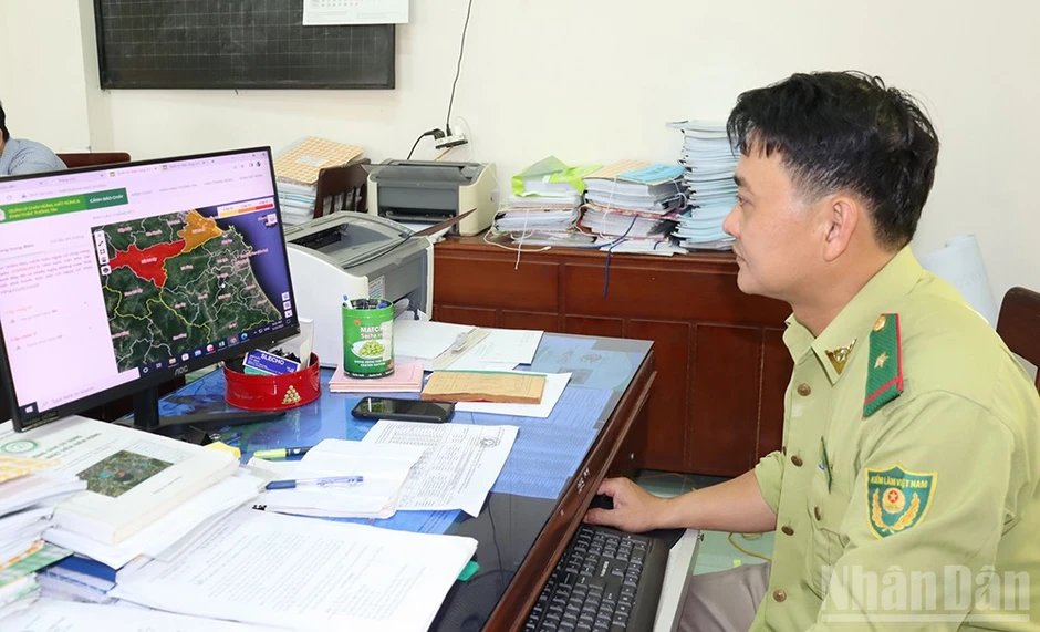 Quảng Ngãi cảnh báo nguy cơ cháy rừng tại khu vực phía đông ở cấp cực kỳ nguy hiểm