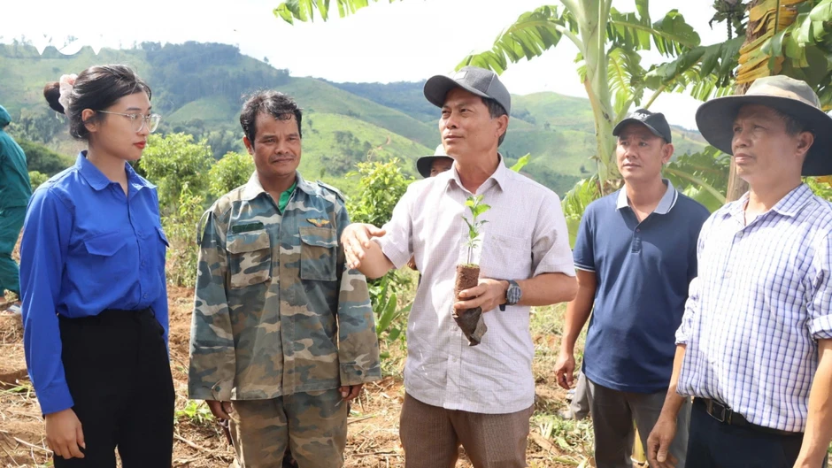 Quảng Ngãi mở sinh kế bền vững cho đồng bào Xơ Đăng Quảng Ngãi mở sinh kế bền vững cho đồng bào Xơ Đăng