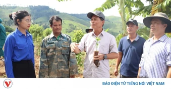 Quảng Ngãi mở sinh kế bền vững cho đồng bào Xơ Đăng