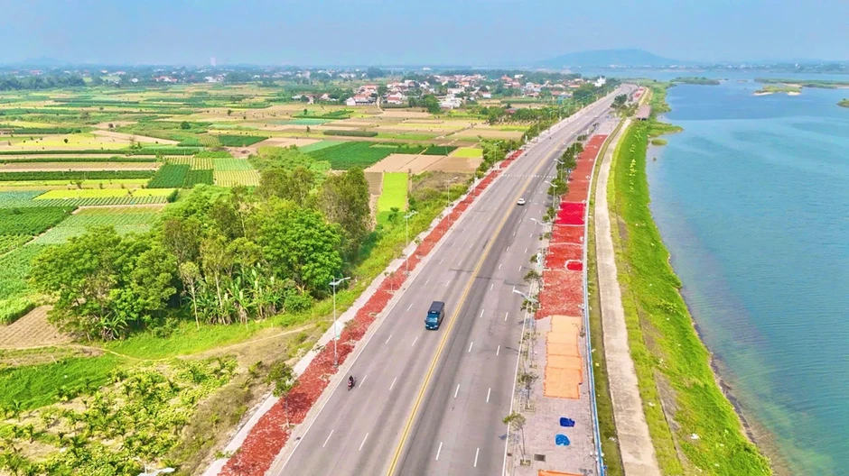 Quảng Ngãi: Ớt chín đỏ đồng, rớt giá thê thảm hơn chục lần Quảng Ngãi: Ớt chín đỏ đồng, rớt giá thê thảm hơn chục lần
