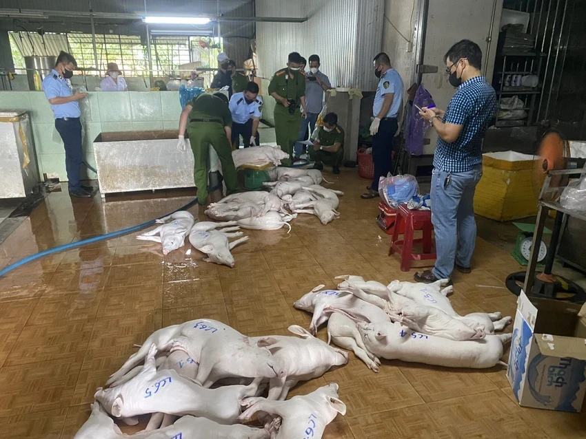 Quảng Ngãi siết chặt kiểm soát giết mổ, xử lý nghiêm vi phạm Quảng Ngãi siết chặt kiểm soát giết mổ, xử lý nghiêm vi phạm