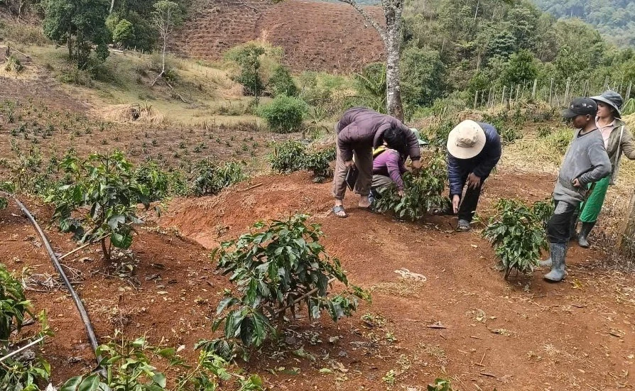 Quảng Ngãi: Xuất hiện mưa đá tại xã Tu Mơ Rông Quảng Ngãi: Xuất hiện mưa đá tại xã Tu Mơ Rông