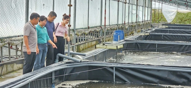 Quảng Ninh chủ động ứng phó với mưa lớn, lũ, ngập lụt, lũ quét, sạt lở đất Quảng Ninh chủ động ứng phó với mưa lớn, lũ, ngập lụt, lũ quét, sạt lở đất