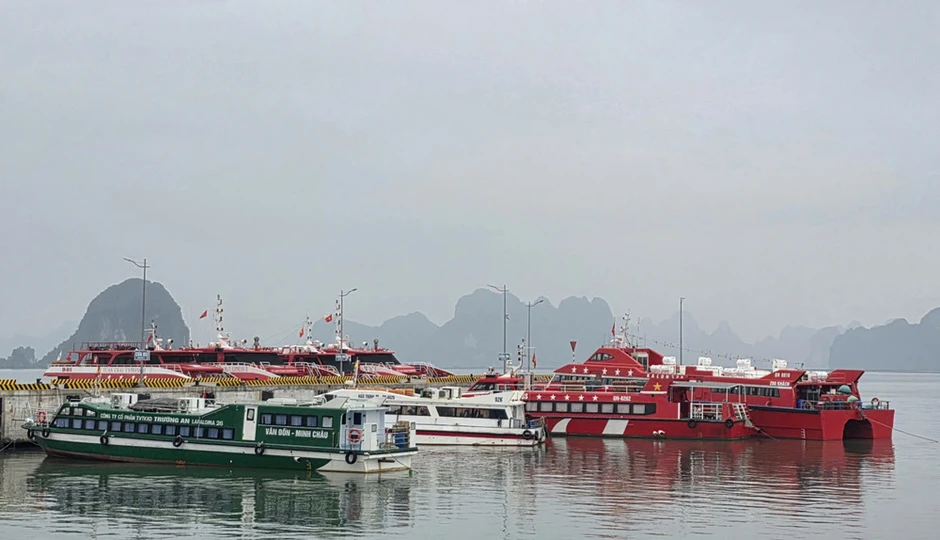 Quảng Ninh chủ động ứng phó với mưa lớn, lũ, ngập lụt, lũ quét, sạt lở đất Quảng Ninh chủ động ứng phó với mưa lớn, lũ, ngập lụt, lũ quét, sạt lở đất