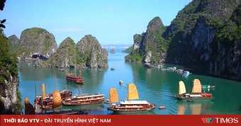 Quảng Ninh công bố mạng lưới 35 điểm tránh trú bão cho tàu thuyền năm 2026