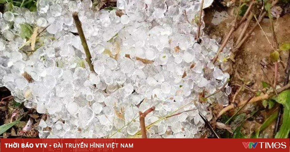 Quảng Ninh hỏa tốc chỉ đạo ứng phó không khí lạnh, lốc xoáy và mưa đá Quảng Ninh hỏa tốc chỉ đạo ứng phó không khí lạnh, lốc xoáy và mưa đá