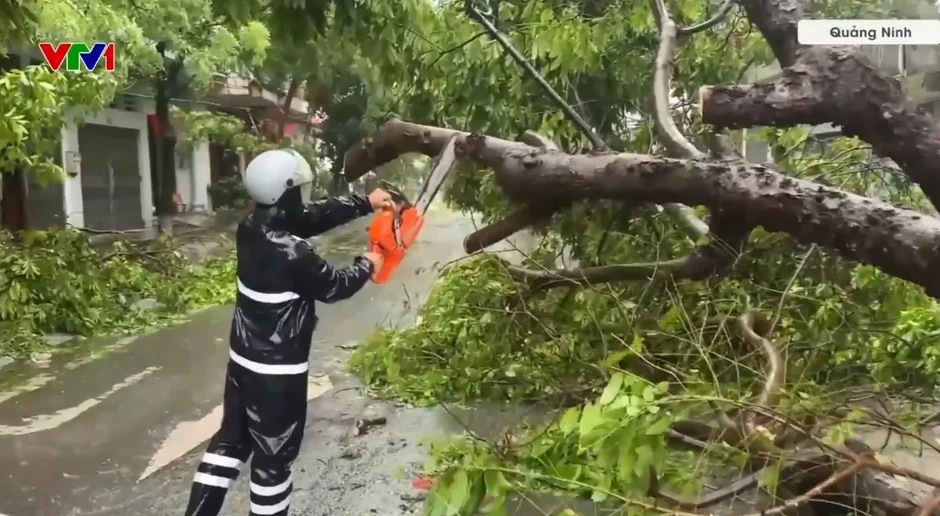Quảng Ninh: Khoảng 1.000 cây xanh gãy đổ, 600ha nuôi trồng thủy sản bị thiệt hại sau bão số 1