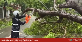 Quảng Ninh: Khoảng 1.000 cây xanh gãy đổ, 600ha nuôi trồng thủy sản bị thiệt hại sau bão số 1