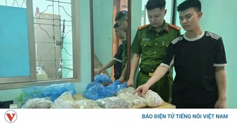 Quảng Ninh: Phát hiện, thu giữ gần 2 tấn giá đỗ chứa chất cấm