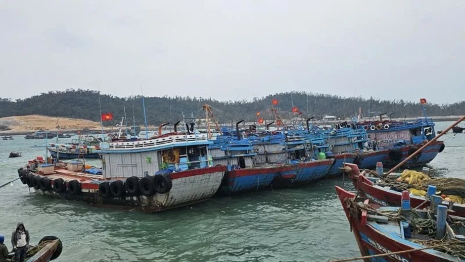 Quảng Ninh tạm ngừng cấp phép tàu hoạt động trên vùng biển