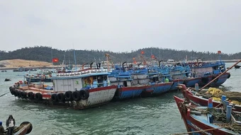 Quảng Ninh tạm ngừng cấp phép tàu hoạt động trên vùng biển