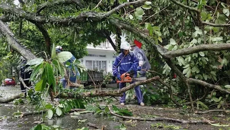 Quảng Ninh thiệt hại khoảng 20 tỷ đồng do bão số 1 Quảng Ninh thiệt hại khoảng 20 tỷ đồng do bão số 1