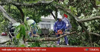 Quảng Ninh thiệt hại khoảng 20 tỷ đồng do bão số 1