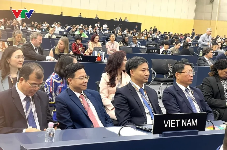 Quảng Ninh thúc đẩy hợp tác quốc tế bảo tồn Vịnh Hạ Long, Yên Tử Quảng Ninh thúc đẩy hợp tác quốc tế bảo tồn Vịnh Hạ Long, Yên Tử
