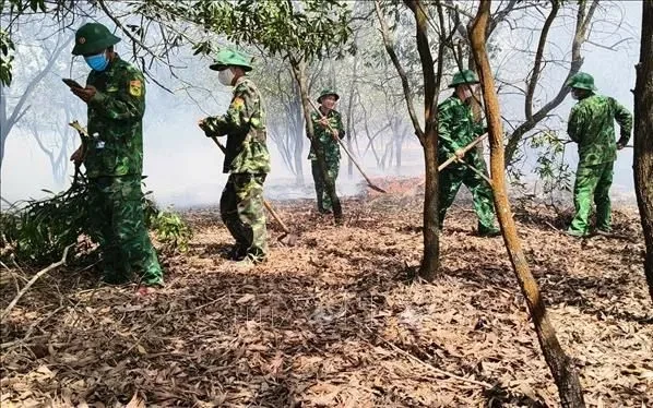 Quảng Trị: Cháy gần 3,6ha rừng phòng hộ ven biển Quảng Trị: Cháy gần 3,6ha rừng phòng hộ ven biển