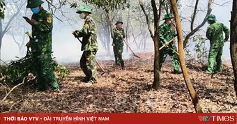 Quảng Trị: Cháy gần 3,6ha rừng phòng hộ ven biển