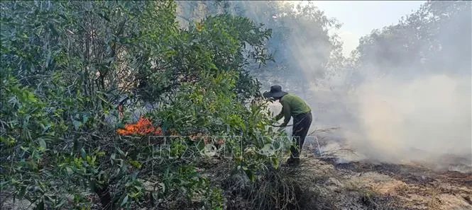Quảng Trị: Cháy rừng tại giáp ranh hai xã Quảng Ninh và Ninh Châu Quảng Trị: Cháy rừng tại giáp ranh hai xã Quảng Ninh và Ninh Châu