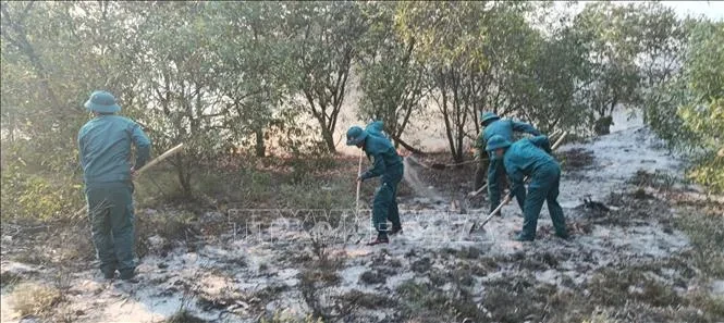 Quảng Trị: Cháy rừng tại giáp ranh hai xã Quảng Ninh và Ninh Châu Quảng Trị: Cháy rừng tại giáp ranh hai xã Quảng Ninh và Ninh Châu