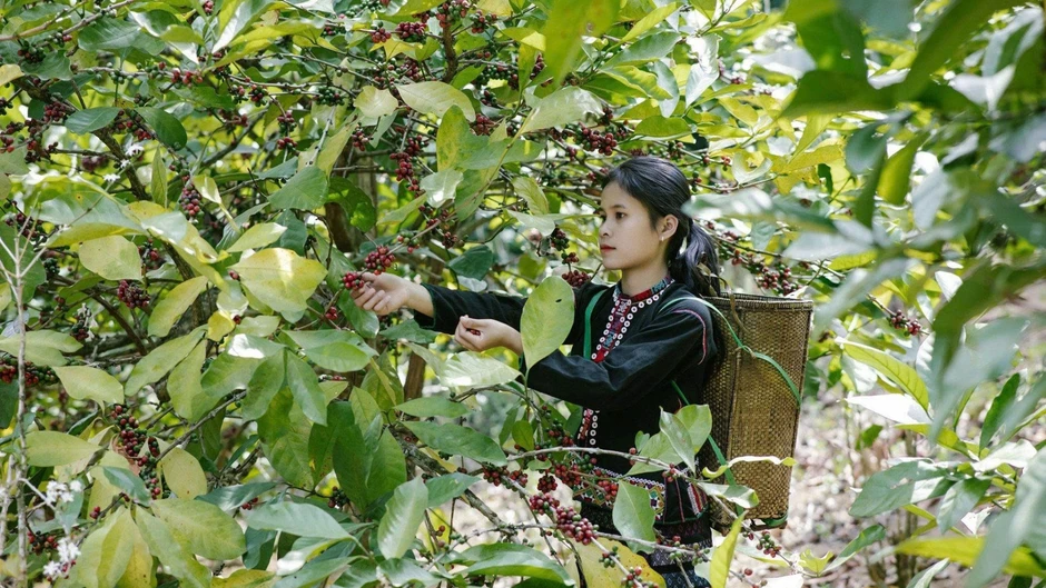 Quảng Trị: Hồi sinh những vùng “đất chết”