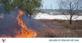 Quảng Trị khẩn trương dập tắt đám cháy rừng khu vực ven biển