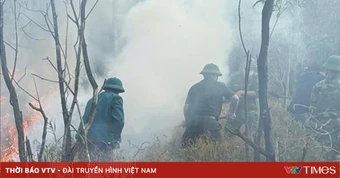 Quảng Trị khống chế, dập tắt kịp thời vụ cháy rừng phòng hộ