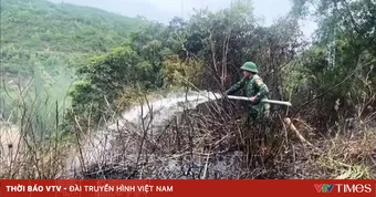 Quảng Trị: Khống chế kịp thời vụ cháy thực bì dưới chân đèo Lý Hòa