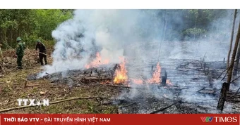 Quảng Trị: Khống chế kịp thời vụ cháy thực bì dưới tán rừng tại xã Kim Điền