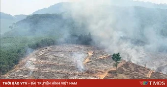 Quảng Trị: Khống chế kịp thời vụ cháy thực bì, ngăn nguy cơ cháy lan sang rừng sản xuất