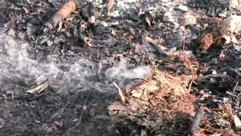 Quảng Trị: Liên tiếp xảy ra cháy rừng tại Ninh Châu do lớp thực bì quá dày chưa thu dọn Quảng Trị: Liên tiếp xảy ra cháy rừng tại Ninh Châu do lớp thực bì quá dày chưa thu dọn