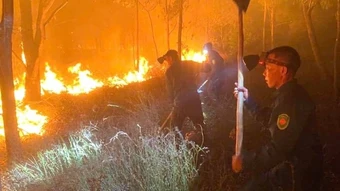 Quảng Trị: Liên tiếp xảy ra cháy rừng tại Ninh Châu do lớp thực bì quá dày chưa thu dọn