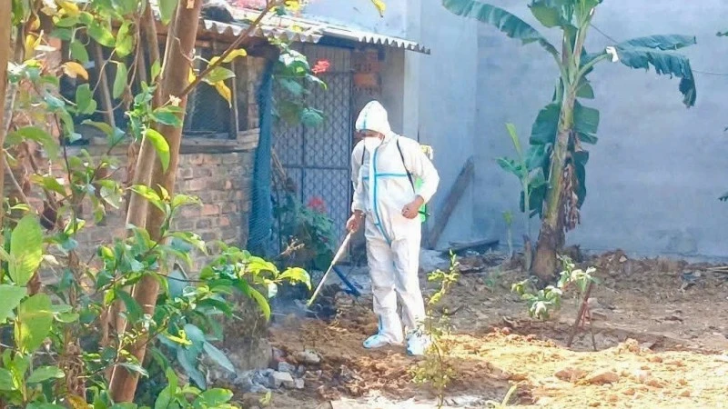 Quảng Trị tìm hướng duy trì hoạt động của lực lượng cán bộ thú y cấp xã Quảng Trị tìm hướng duy trì hoạt động của lực lượng cán bộ thú y cấp xã