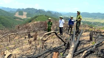 Quảng Trị xử lý, khắc phục tình trạng giấy chứng nhận quyền sử dụng đất của người dân sai lệch so hiện trạng