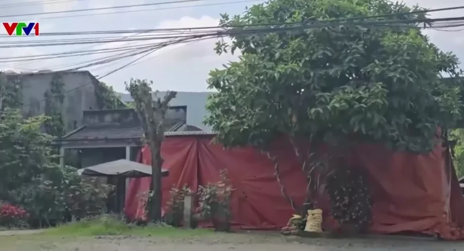 Quốc lộ 14E chậm tiến độ, người dân bị tiếng ồn, bụi và bùn bủa vây Quốc lộ 14E chậm tiến độ, người dân bị tiếng ồn, bụi và bùn bủa vây