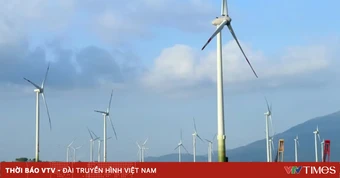 Quy định mới về điều kiện khảo sát, đầu tư dự án điện gió ngoài khơi