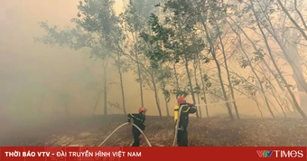 Quyết liệt triển khai các biện pháp cấp bách phòng cháy, chữa cháy rừng