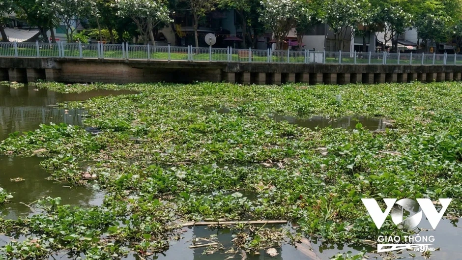 Rác, nước đen và mùi hôi lại “bủa vây” kênh Nhiêu Lộc-Thị Nghè Rác, nước đen và mùi hôi lại “bủa vây” kênh Nhiêu Lộc-Thị Nghè