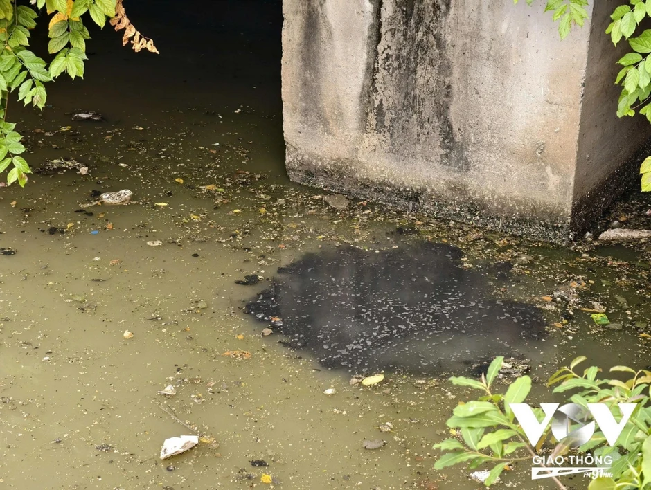 Rác, nước đen và mùi hôi lại “bủa vây” kênh Nhiêu Lộc-Thị Nghè Rác, nước đen và mùi hôi lại “bủa vây” kênh Nhiêu Lộc-Thị Nghè