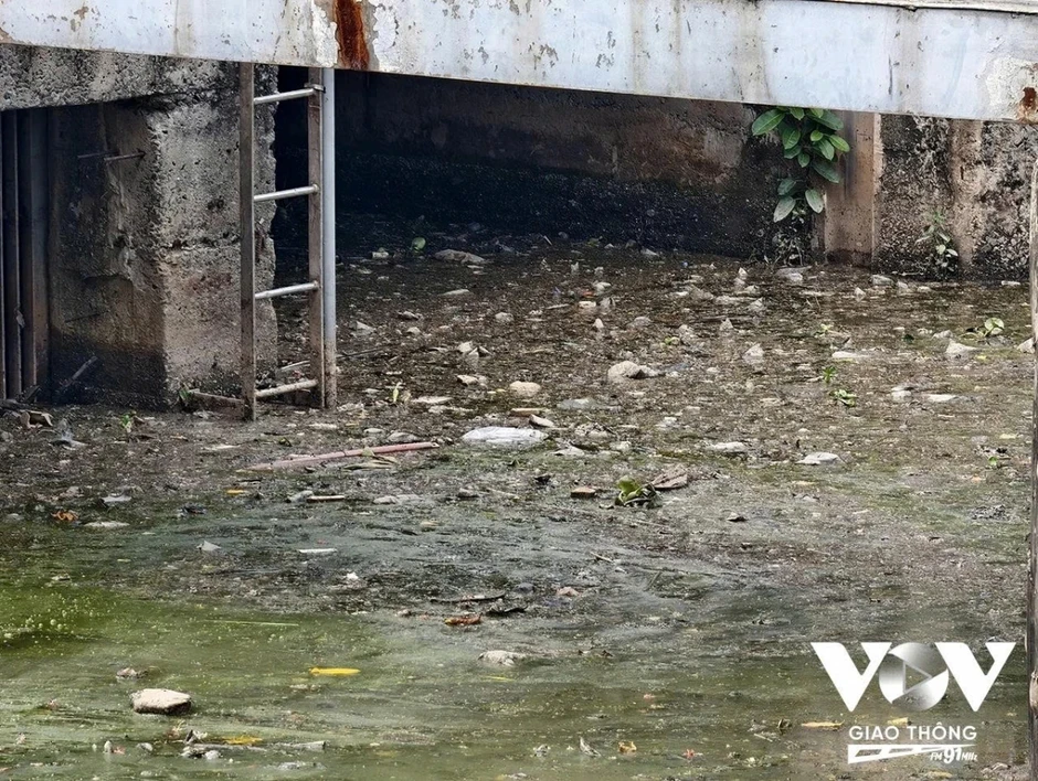 Rác, nước đen và mùi hôi lại “bủa vây” kênh Nhiêu Lộc-Thị Nghè Rác, nước đen và mùi hôi lại “bủa vây” kênh Nhiêu Lộc-Thị Nghè