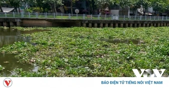 Rác, nước đen và mùi hôi lại “bủa vây” kênh Nhiêu Lộc-Thị Nghè