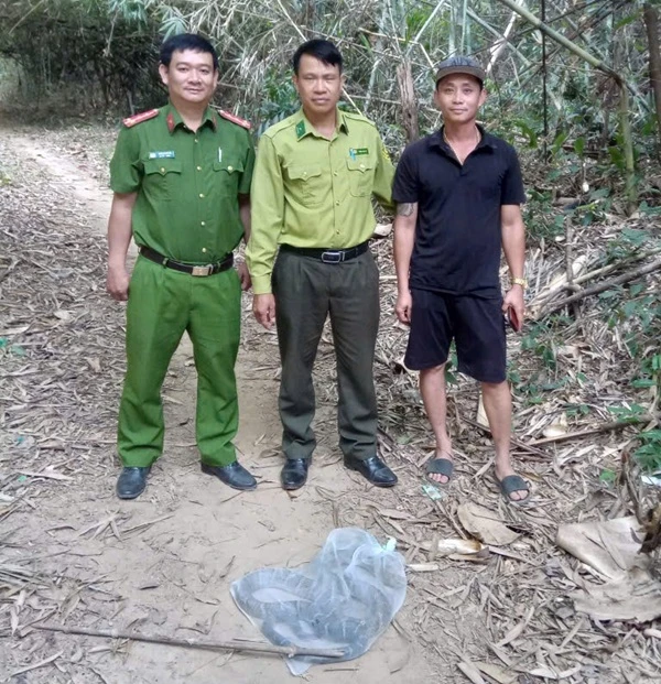 Rắn hổ chúa quý hiếm xuất hiện gần nhà dân Rắn hổ chúa quý hiếm xuất hiện gần nhà dân