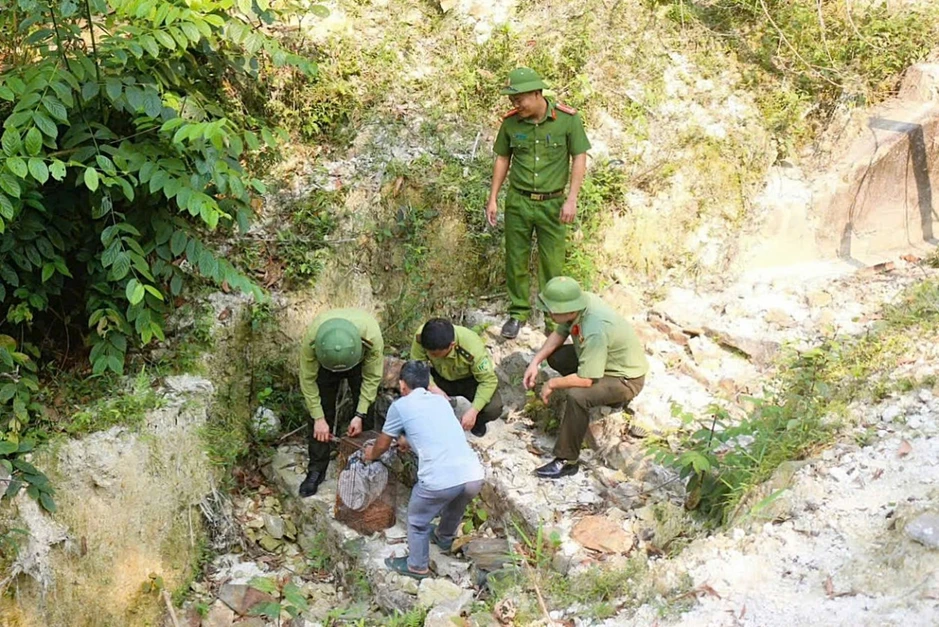 Rắn hổ mang chúa quý hiếm bò vào nhà dân, được thả về rừng Rắn hổ mang chúa quý hiếm bò vào nhà dân, được thả về rừng