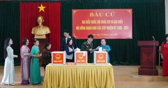 Rộn ràng ngày hội non sông trên quê hương Chủ tịch Hồ Chí Minh