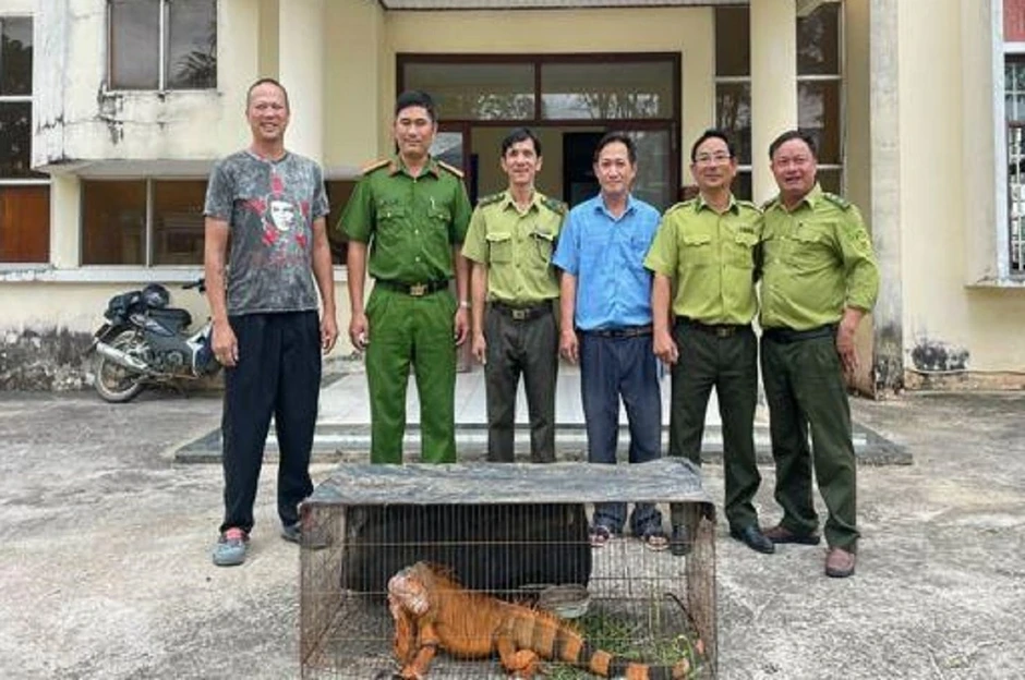Rồng Nam Mỹ đi lạc được bàn giao cho cơ sở nuôi hợp pháp Rồng Nam Mỹ đi lạc được bàn giao cho cơ sở nuôi hợp pháp