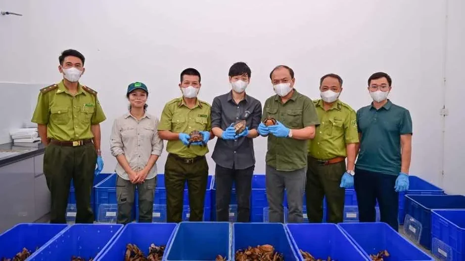 Rùa quý hiếm hồi hương từ Hàn Quốc về Vườn quốc gia Cúc Phương Rùa quý hiếm hồi hương từ Hàn Quốc về Vườn quốc gia Cúc Phương