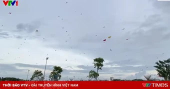 Rực rỡ tuần lễ thả diều nghệ thuật tại Cà Mau