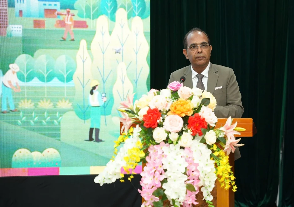 Rừng là nền tảng cho tăng trưởng xanh và sinh kế lâu dài Rừng là nền tảng cho tăng trưởng xanh và sinh kế lâu dài