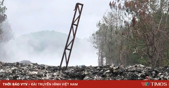 Rừng thông ở Lâm Đồng bị bức tử do bãi rác cháy âm ỉ ngày đêm